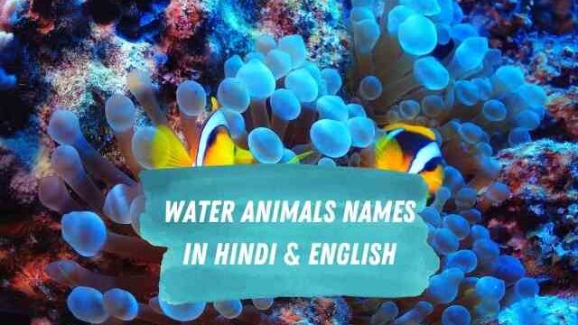 water-animals-names-in-hindi-english