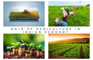 Role Of Agriculture In Indian Economy 2023 - Know All Facts